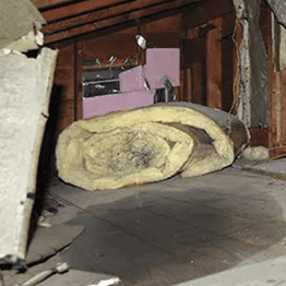 CLUE 1 Attic Leaks
