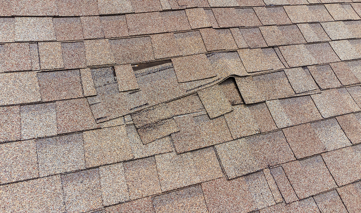 Understanding Roofing Repairs: A Comprehensive Guide 4 Damaged Roof Shingles
