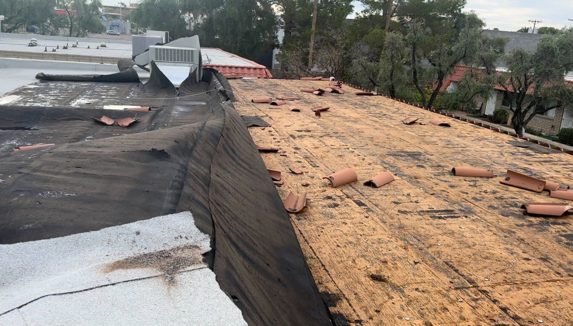 POST MONSOON ROOF CARE 2 IMG 8369