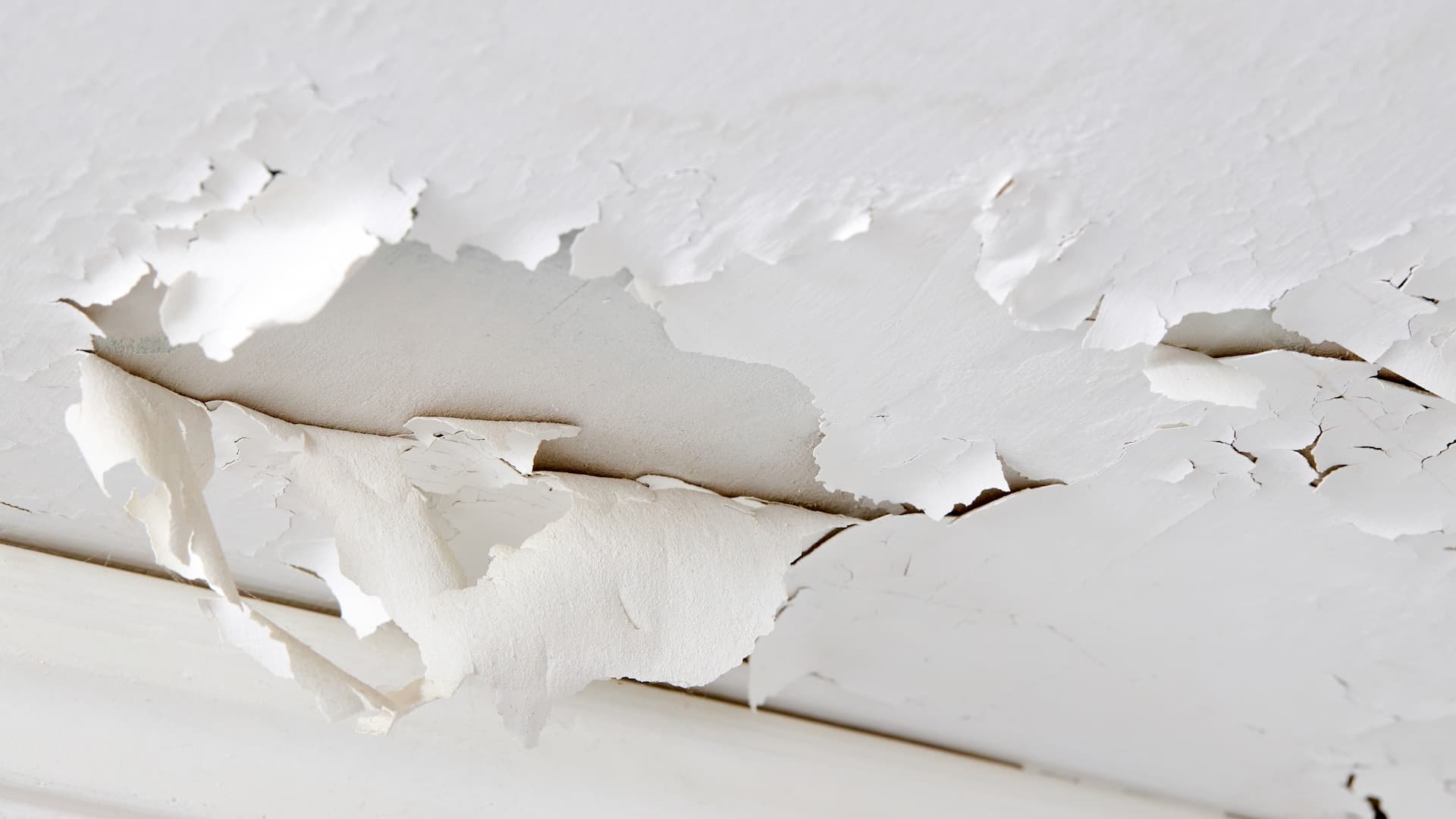 New Roof 02 Peeling Paint