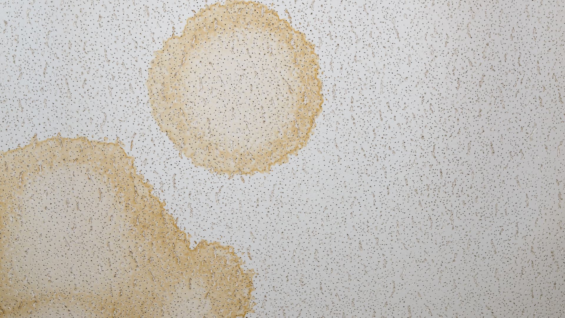 New Roof 03 Ceiling Stains