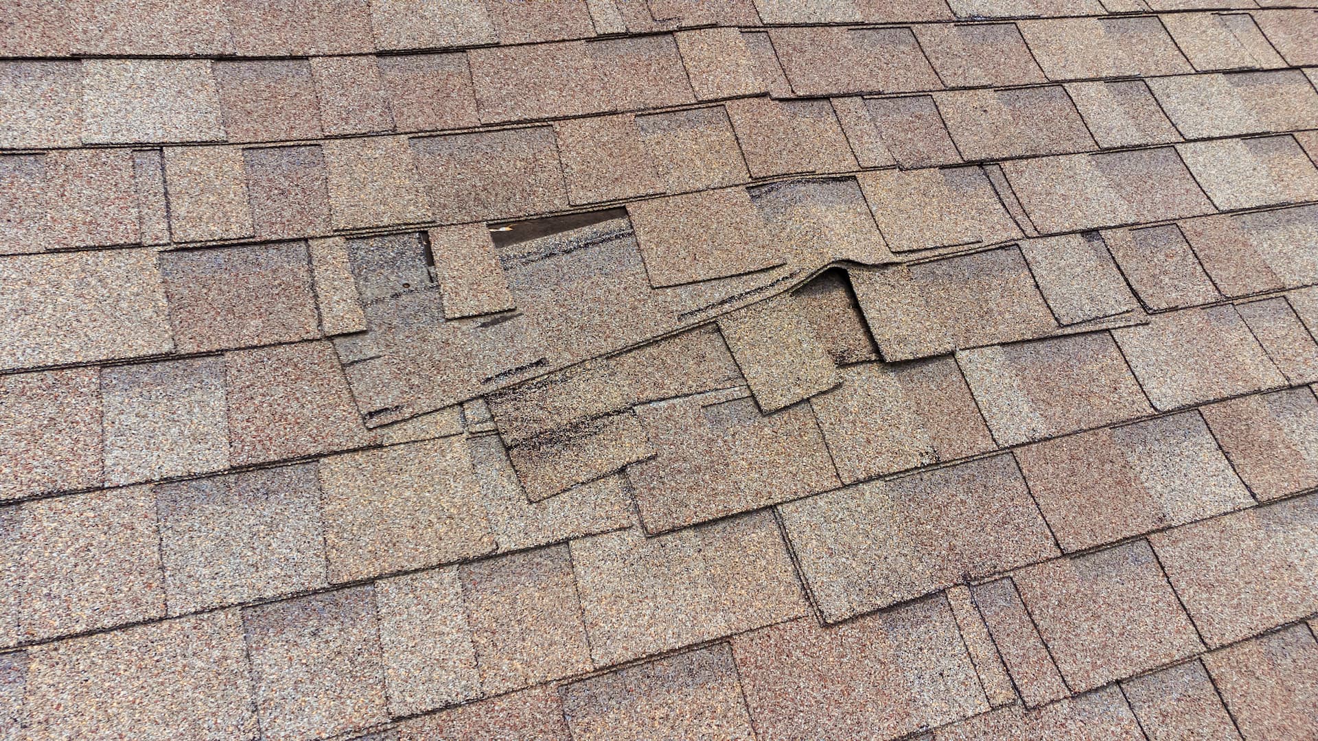 New Roof 04 Shingle Damage