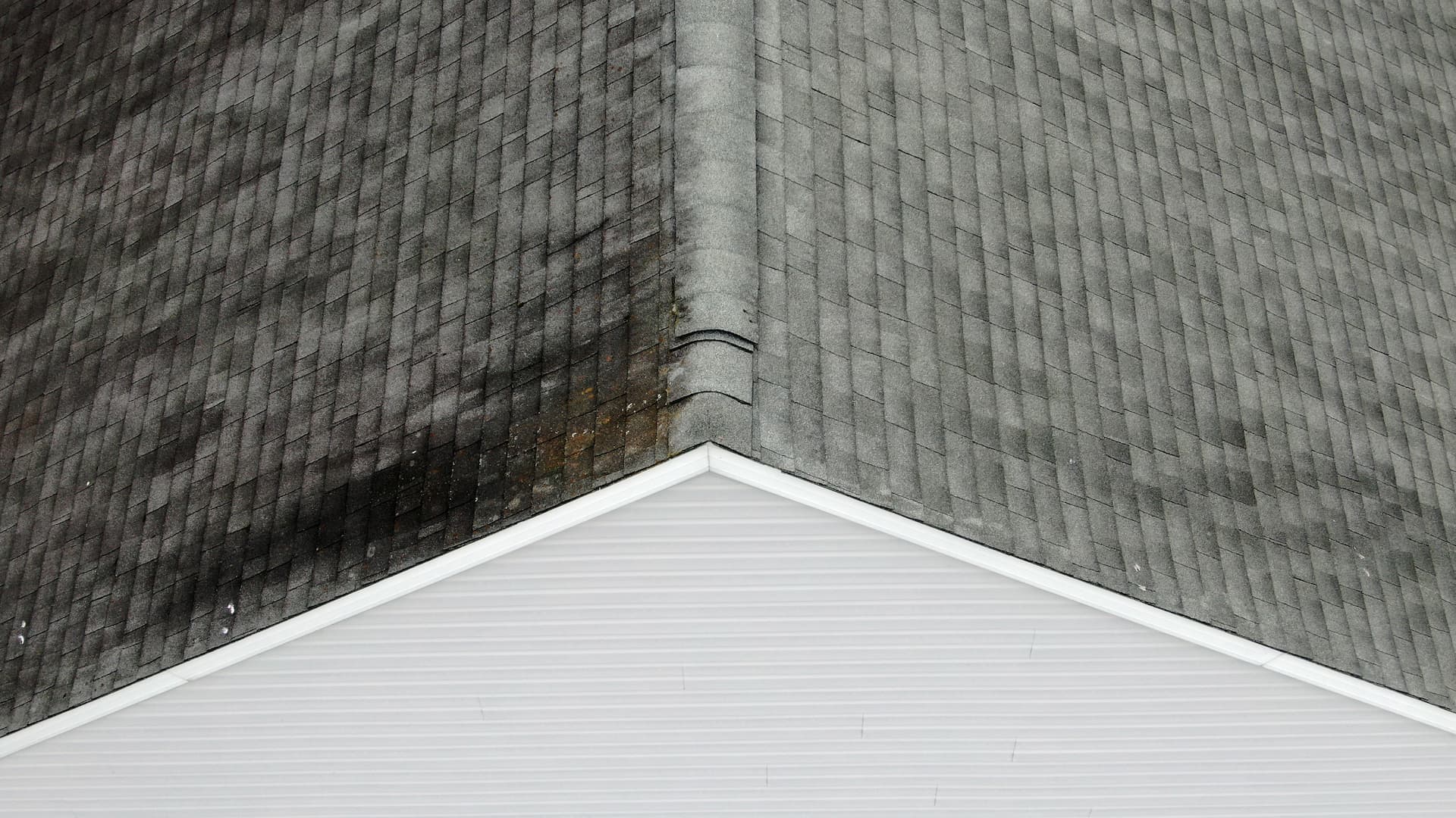 New Roof 05 Dark Streaks