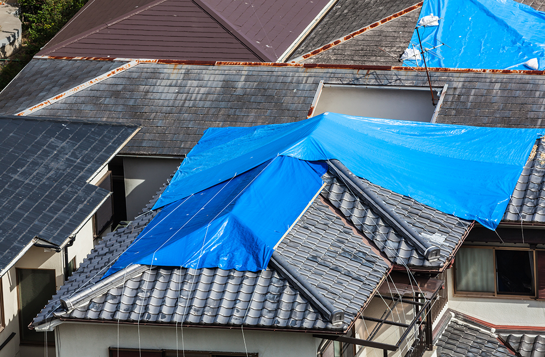 How To Quickly Find Reliable Roof Repair Services In Your Area 22 House with roof covered with blue tarp